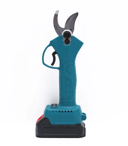 eleqtro sasxlavi makrateli