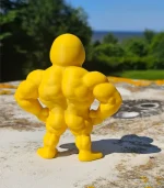 მელოტა იხვი