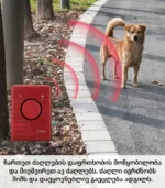 ძაღლის შესაშინებელი
